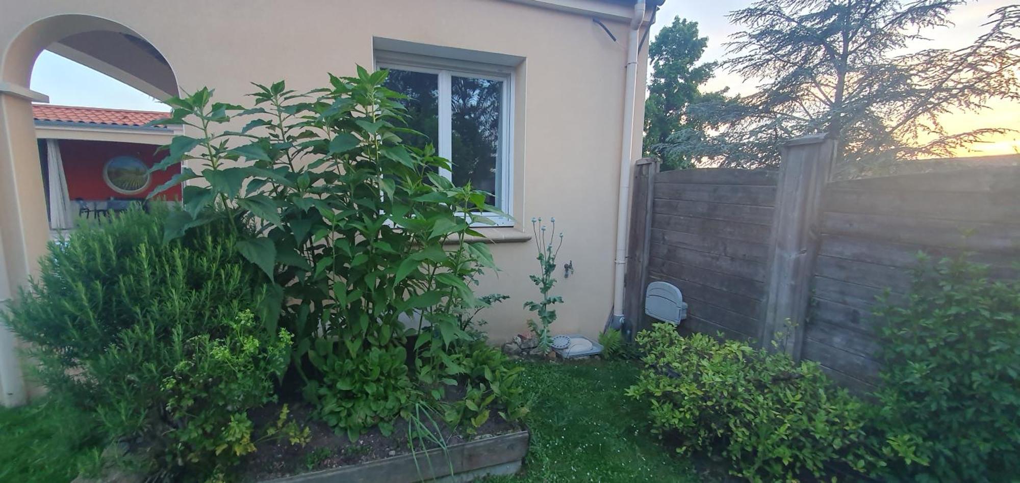 Gite Calme #2 Ou 3 Pers #Piscine #Cholet #Wifi Haut Debit #Travailleurs Thales Lacroix Et Autres Entreprises #Petits Dejeuners Et Repas Possibles Sur Demande Le May-sur-Evre المظهر الخارجي الصورة